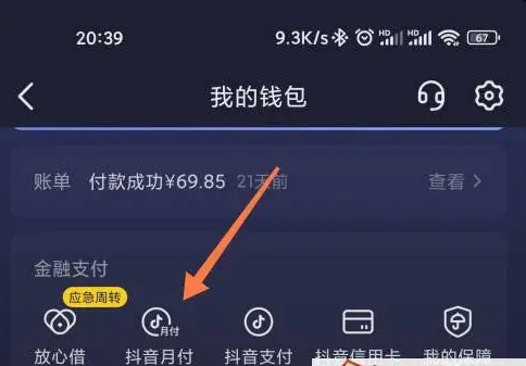 抖音月付什么意思（抖音月付是什么功能）