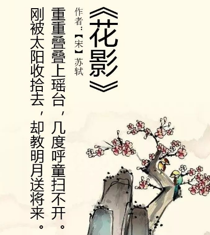 苏轼花影的原创与赏析(花影苏轼古诗文网)