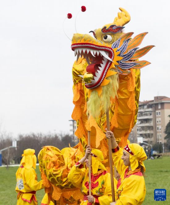 意大利排球比赛场上演舞龙舞狮 庆祝中国龙年