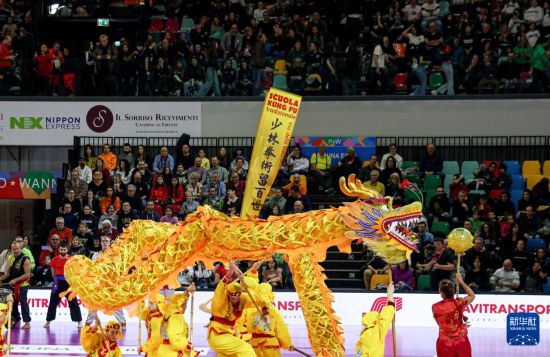 意大利排球比赛场上演舞龙舞狮 庆祝中国龙年