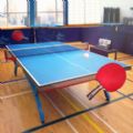 Table Tennis Touch