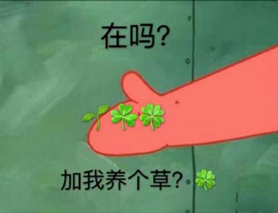 qq小草是什么(qq的小草多久消失)