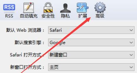 safari兼容性设置教程