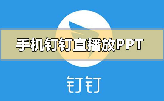 手机钉钉直播怎样放ppt(在手机钉钉直播怎样放ppt)