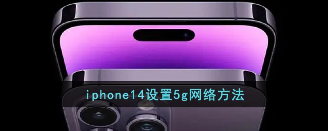 iphone14设置5g网络方法(ios14怎么改5g信号图标)